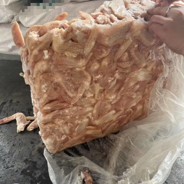小鸭二节翅30吨1950一吨低价抛！！！！