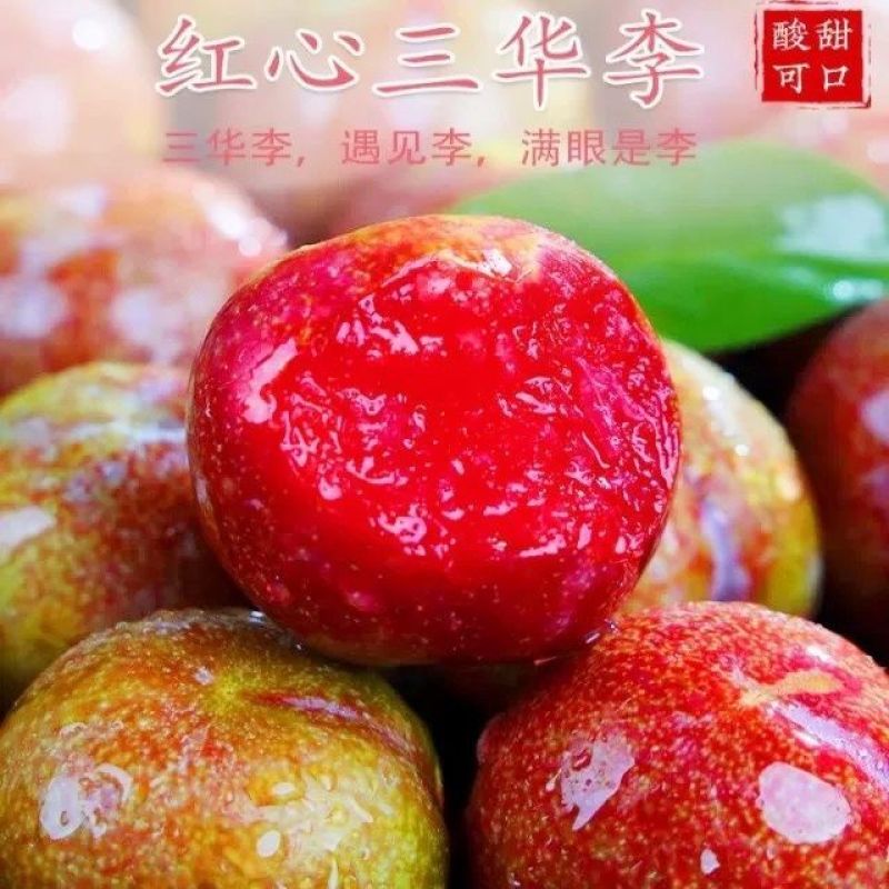 正宗广东三华李子对接各大电商平台一件代发