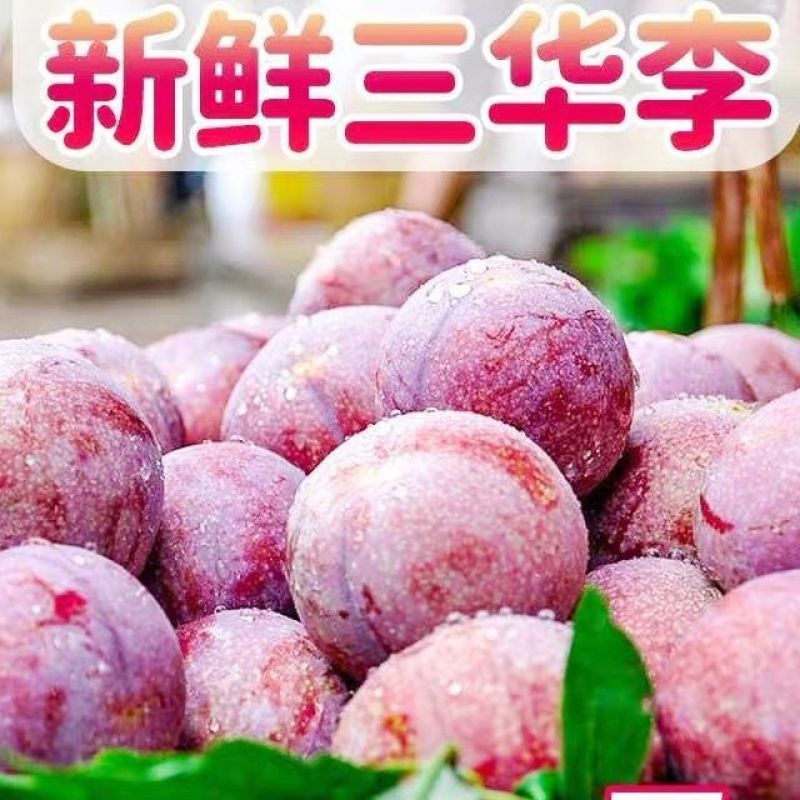 正宗广东三华李子对接各大电商平台一件代发