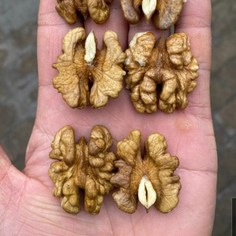山核桃仁打豆浆专用***生碎核桃仁原味坚果罐装袋装小包装