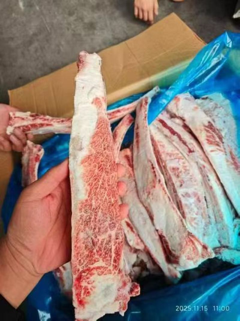雪花牛肋排一吨可发样品实图拍摄欢迎来电咨询