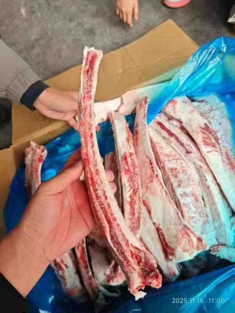 雪花牛肋排一吨可发样品实图拍摄欢迎来电咨询