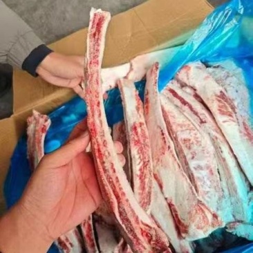 雪花牛肋排一吨可发样品实图拍摄欢迎来电咨询