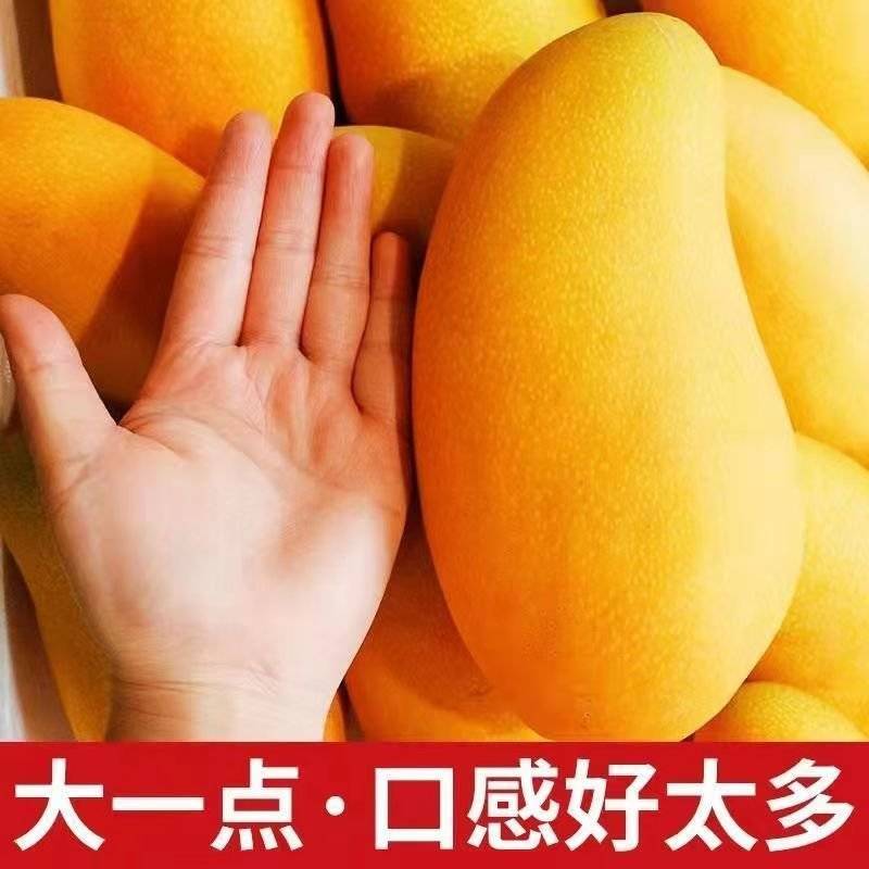 薄核肉多香甜可口又大又甜汁水多批发