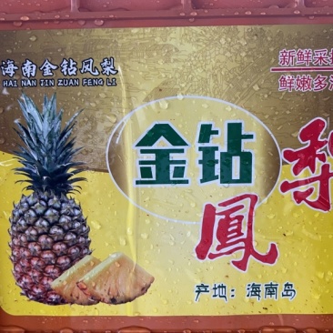 金钻凤梨🍍