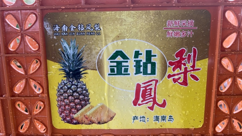 金钻凤梨🍍