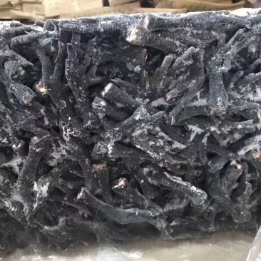 乌鸡爪