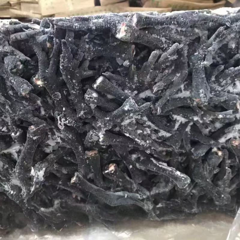 乌鸡爪