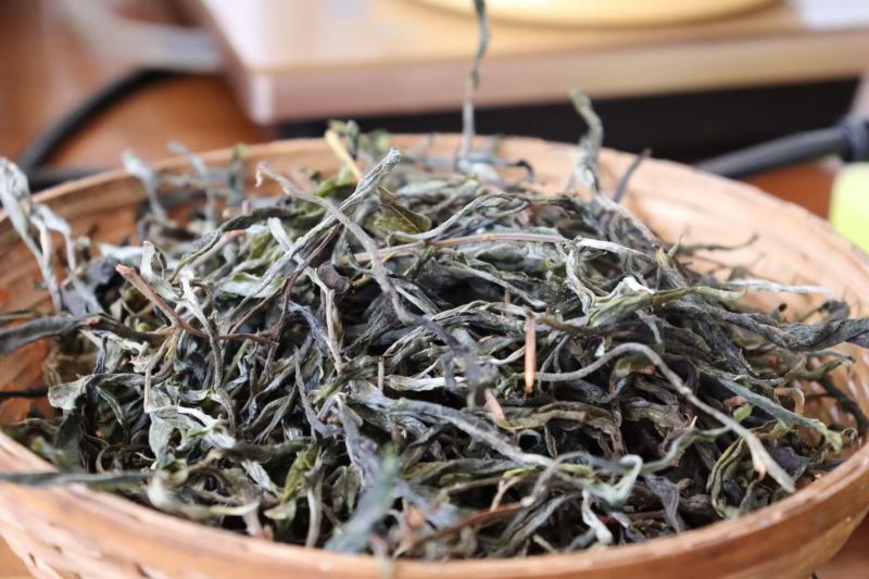 云南临沧普洱茶，货源充足/产区直发/大量现货