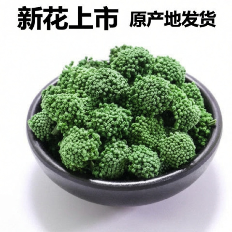 云南文山头茬特级三七花精选新花上市产地直发新鲜四年三七花