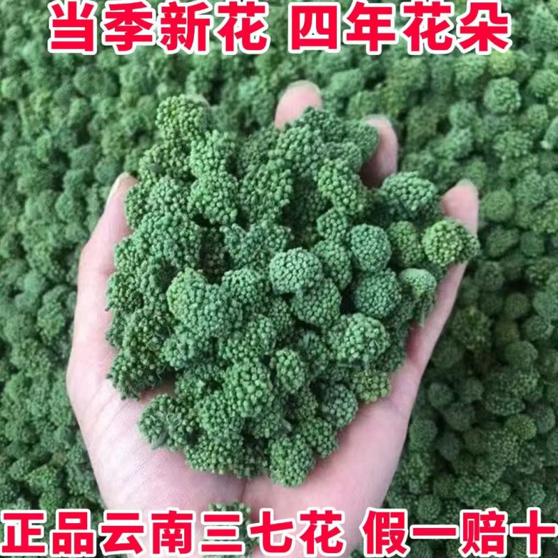 云南文山头茬特级三七花精选新花上市产地直发新鲜四年三七花