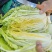 贵州精品白菜黄心白菜货源充足品质保证价格实惠联