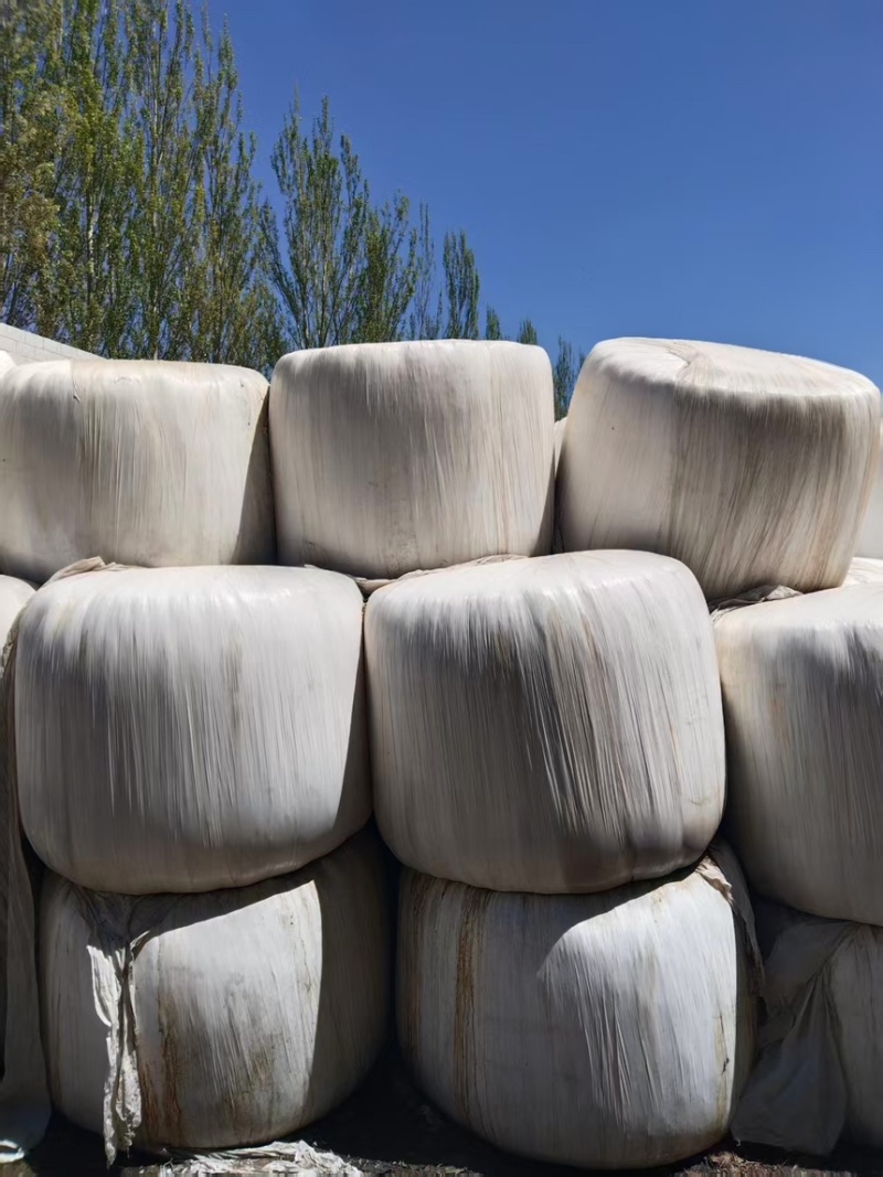 黄储打包好的产地直供一手货源欢迎来电