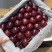 【一件可发】美早樱桃🍒精品樱桃产地直发可对接全国市场