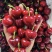【一件可发】美早樱桃🍒精品樱桃产地直发可对接全国市场