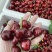 【一件可发】美早樱桃🍒精品樱桃产地直发可对接全国市场
