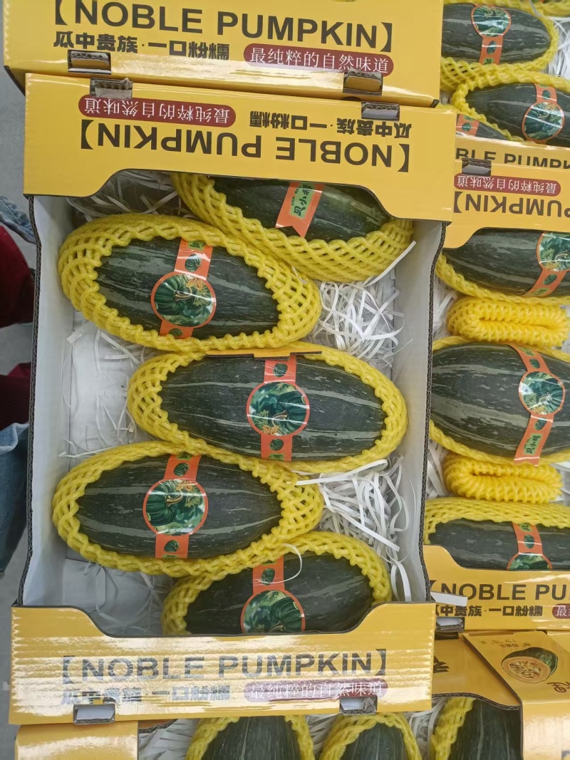 山东潍坊寿光贵族南瓜大量有货，量大从优欢迎老板来电咨询