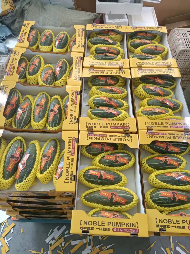山东潍坊寿光贵族南瓜大量有货，量大从优欢迎老板来电咨询