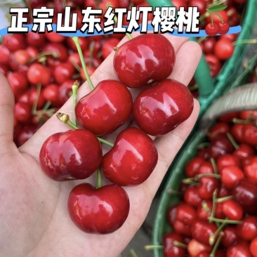 樱桃精品樱桃产地直发品质保障量大从优可视频