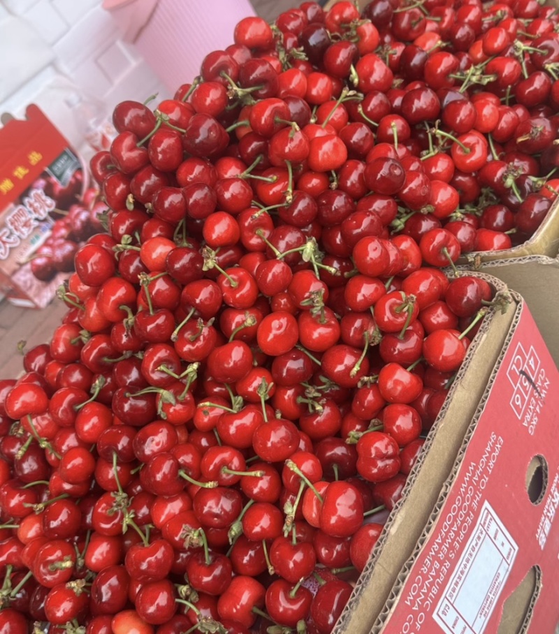 樱桃精品樱桃产地直发品质保障量大从优可视频