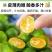 海南小柠檬金桔青桔批发全国发货