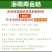 海南小柠檬金桔青桔批发全国发货