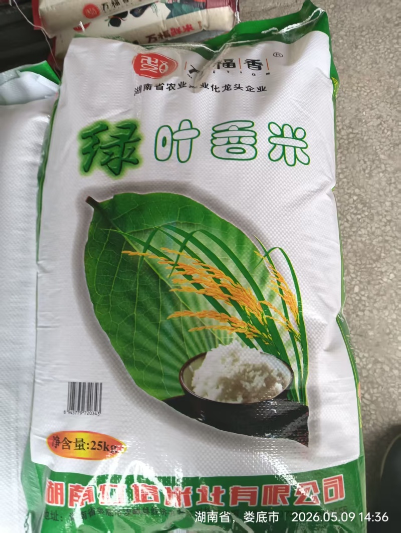 香米/猫牙香米/湖南娄底厂家直销/大量有货/对接全国采购