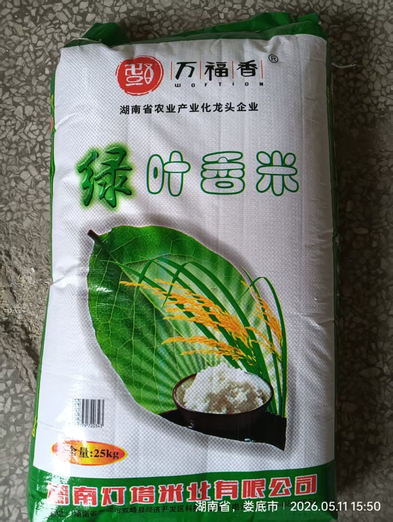 香米/猫牙香米/湖南娄底厂家直销/大量有货/对接全国采购