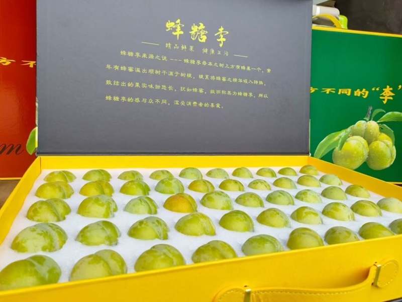 六马蜂糖李，李子，正宗，纯甜，对接全部渠道.质量保证
