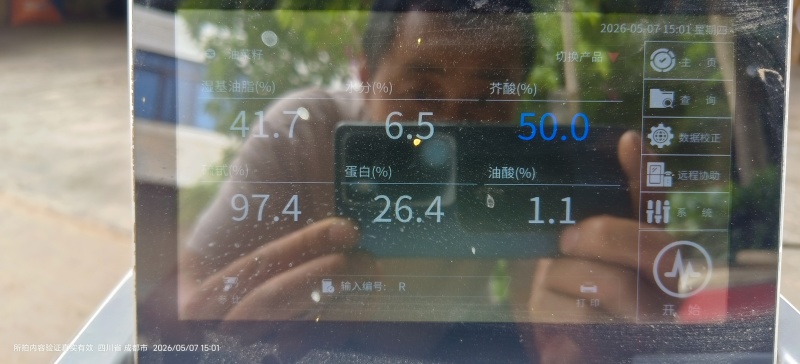 四川本地菜籽