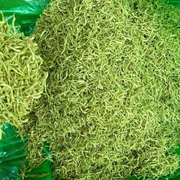 品质金银花茶金银花茶基地批发直供山银花茶散装