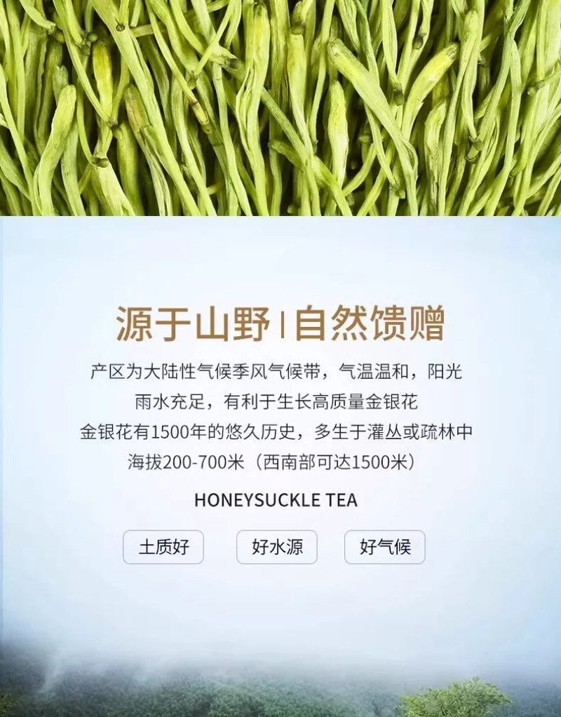 品质金银花茶金银花茶基地批发直供山银花茶散装