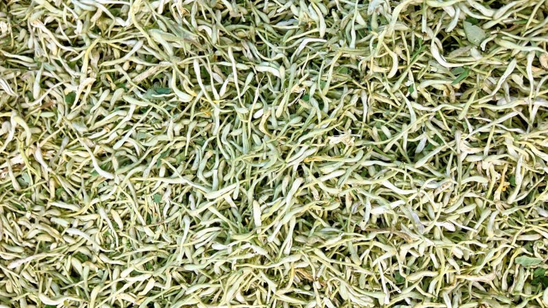 品质金银花茶金银花茶基地批发直供山银花茶散装