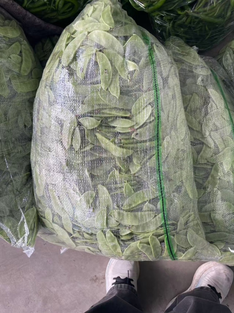 精品扁豆，口感丰富，营养健康，价格美丽欢迎咨询订购