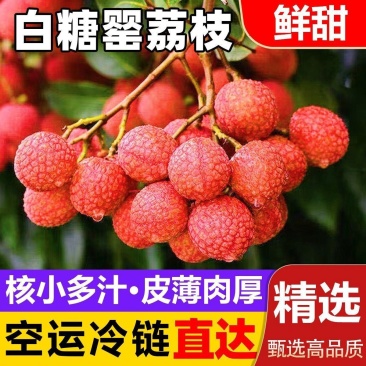 广东白糖罂荔枝，一件代发，对接全网电商，京东冷链发货