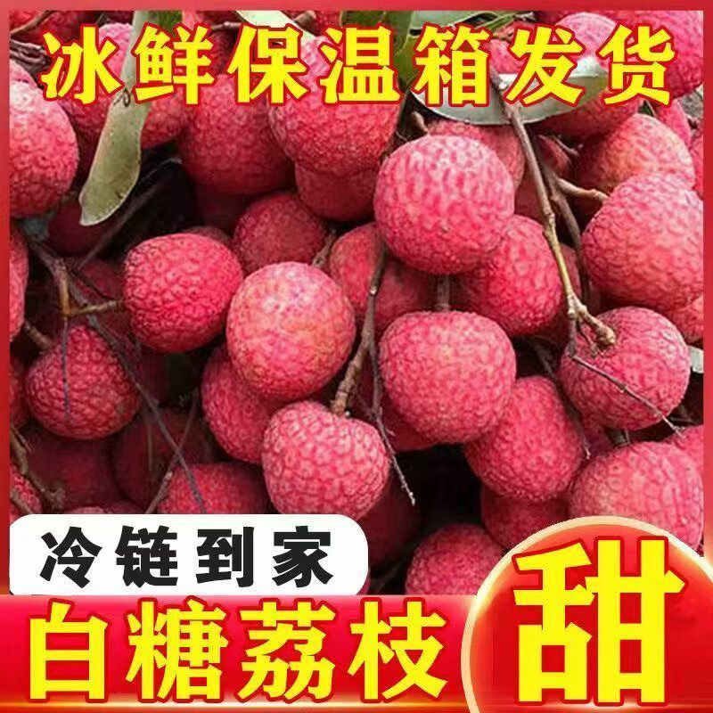 广东白糖罂荔枝，一件代发，对接全网电商，京东冷链发货