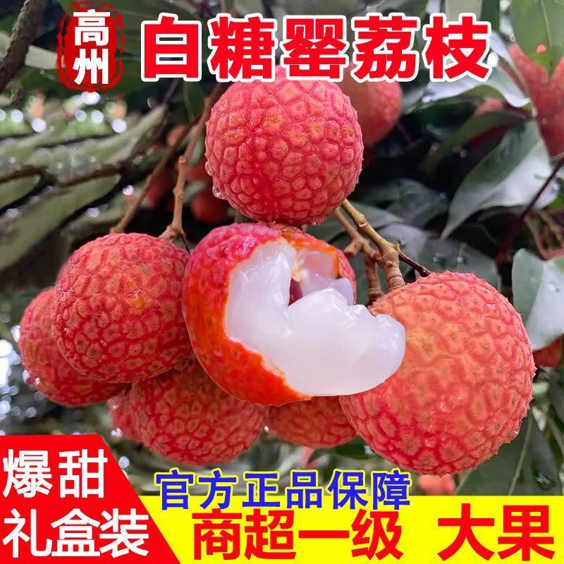 广东白糖罂荔枝，一件代发，对接全网电商，京东冷链发货