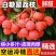 广东白糖罂荔枝，一件代发，对接全网电商，京东冷链发货