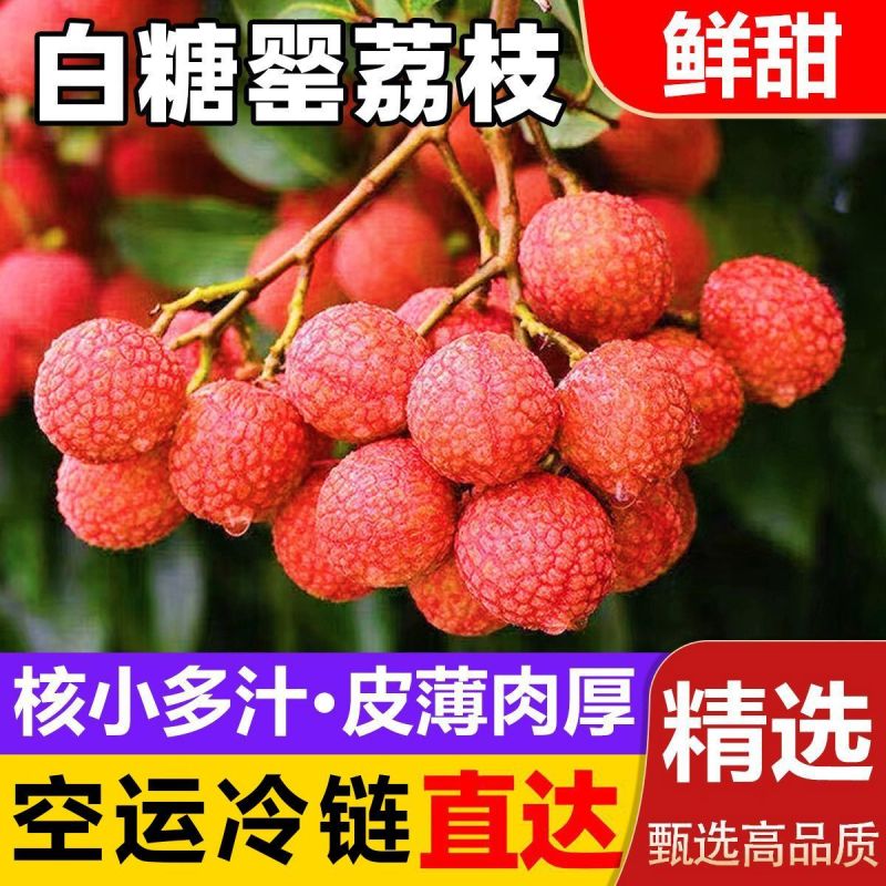广东白糖罂荔枝，一件代发，对接全网电商，京东冷链发货