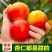 贵妃新品现摘红杏陕西杏子胭脂酸甜当季新鲜水果孕妇应季整箱