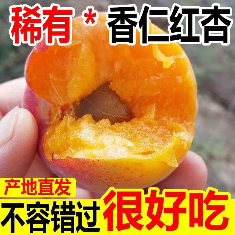 贵妃新品现摘红杏陕西杏子胭脂酸甜当季新鲜水果孕妇应季整箱