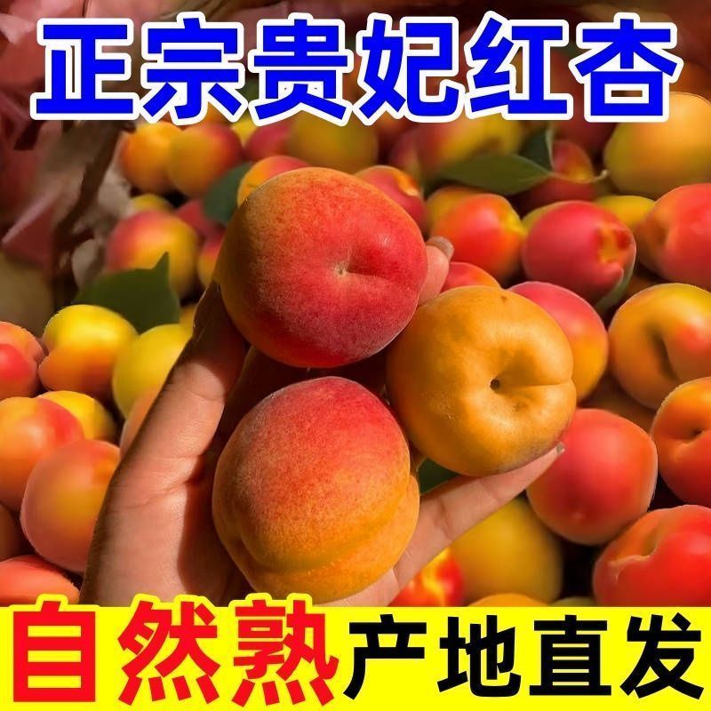 贵妃新品现摘红杏陕西杏子胭脂酸甜当季新鲜水果孕妇应季整箱