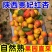 贵妃新品现摘红杏陕西杏子胭脂酸甜当季新鲜水果孕妇应季整箱