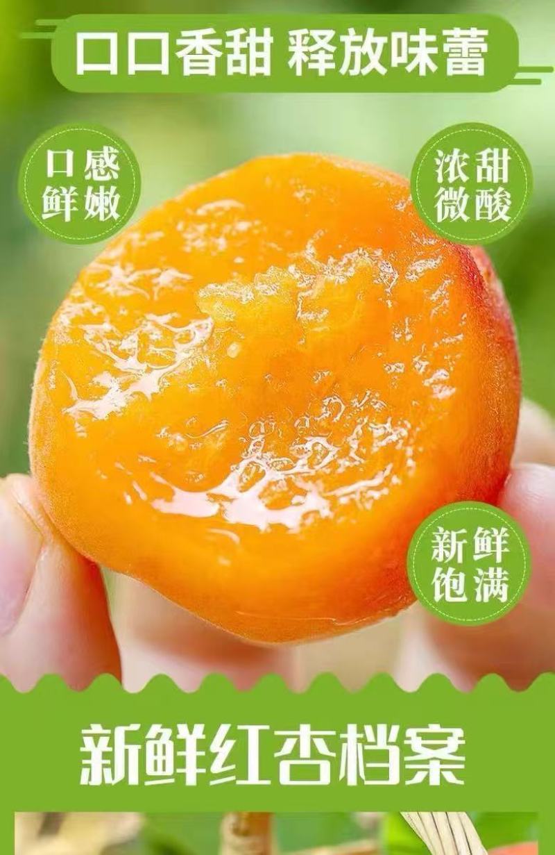 贵妃新品现摘红杏陕西杏子胭脂酸甜当季新鲜水果孕妇应季整箱