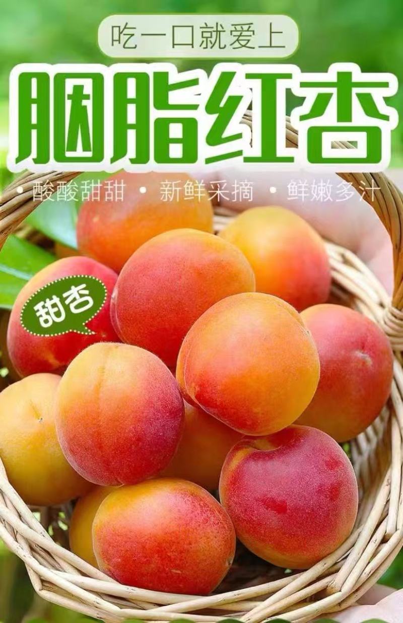 贵妃新品现摘红杏陕西杏子胭脂酸甜当季新鲜水果孕妇应季整箱