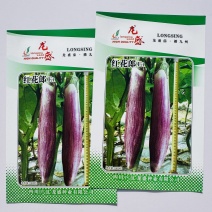 龙盛竹丝茄种子杂交早熟高产皮光泽肉质细嫩味鲜大田基地专用
