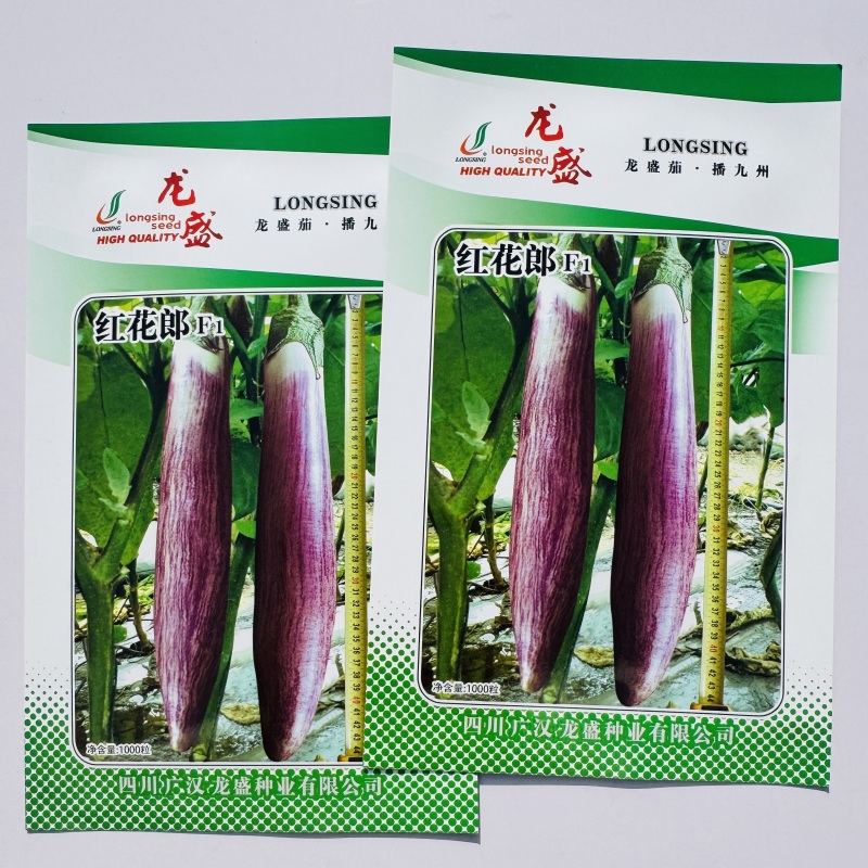 龙盛竹丝茄种子杂交早熟高产皮光泽肉质细嫩味鲜大田基地专用