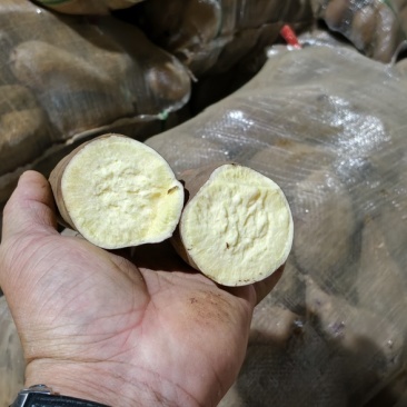 榴莲蜜薯仓库还有4挂现货，有需要的老板赶紧联系我