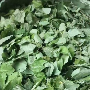 深山生态大叶纯种淫羊霍，干度好无霉变，青绿色，含量够。