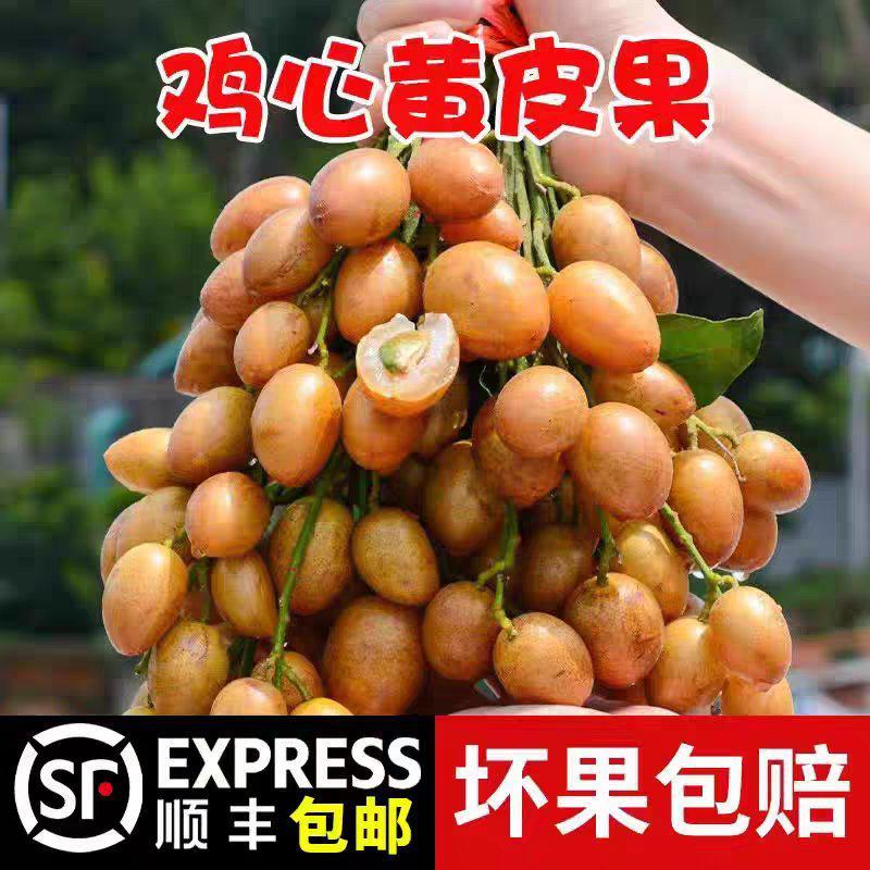 顺丰现摘新鲜速发广东鸡心黄皮果当季酸甜孕妇水果新鲜现发整
